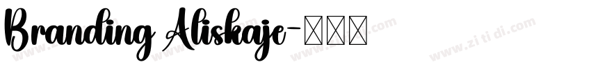 Branding Aliskaje字体转换